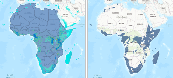 Bird species rarity clipped to Africa boundaries